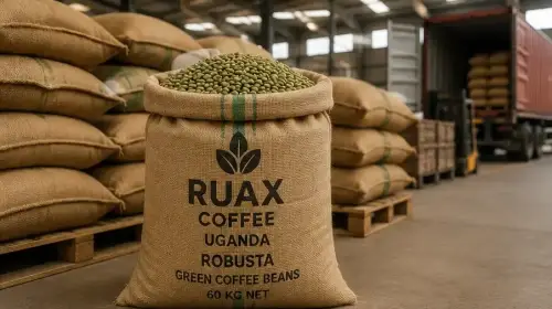 EXPORT PACKAGING