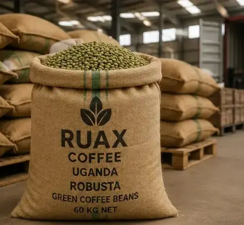 EXPORT PACKAGING